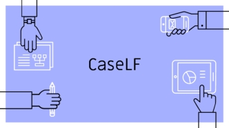 CaseLF. Наборы для украшения чехлов