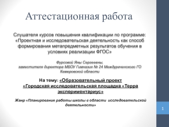 Аттестационная работа. Образовательный проект Городская исследовательская площадка Терра экспериментариус