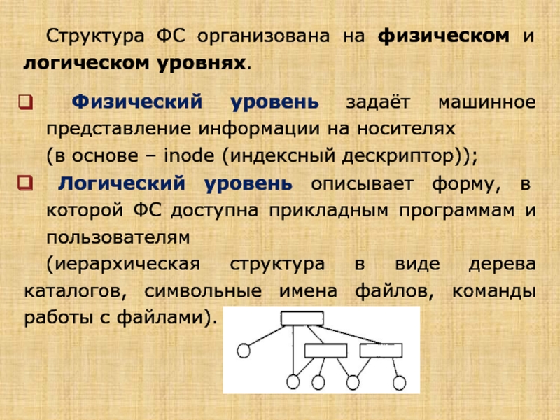 Физическая структура