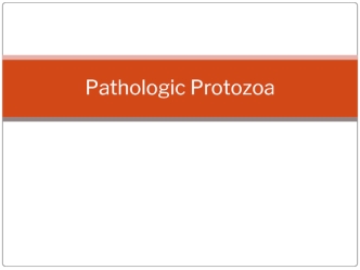 Pathologic Protozoa