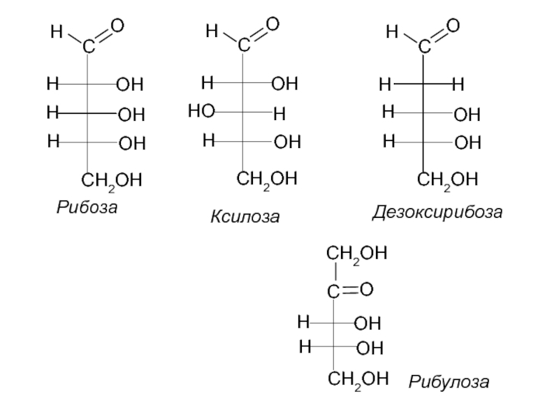 Рибоза 2 дезоксирибоза. D-ксилоза формула Хеуорса. Ксилоза структурная формула. Л ксилоза формула Хеуорса. Строение рибозы и дезоксирибозы.
