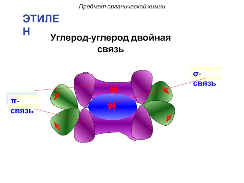 Предмет органической химии. Химическая связь углерода. Механизм, σ- и π-комплексы. Π-связи. Энергия связи углерода 12