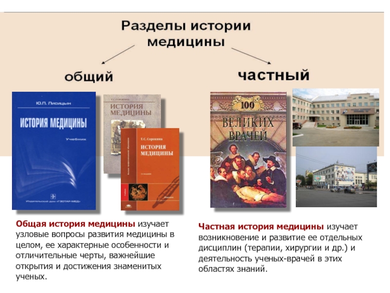 Реферат: Становление человека и человеческого общества. Возникновение медицины