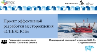 Нефтегазовое дело. Проект эффективной разработки месторождения СНЕЖНОЕ