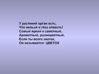 Цветок - орган семенного размноженич