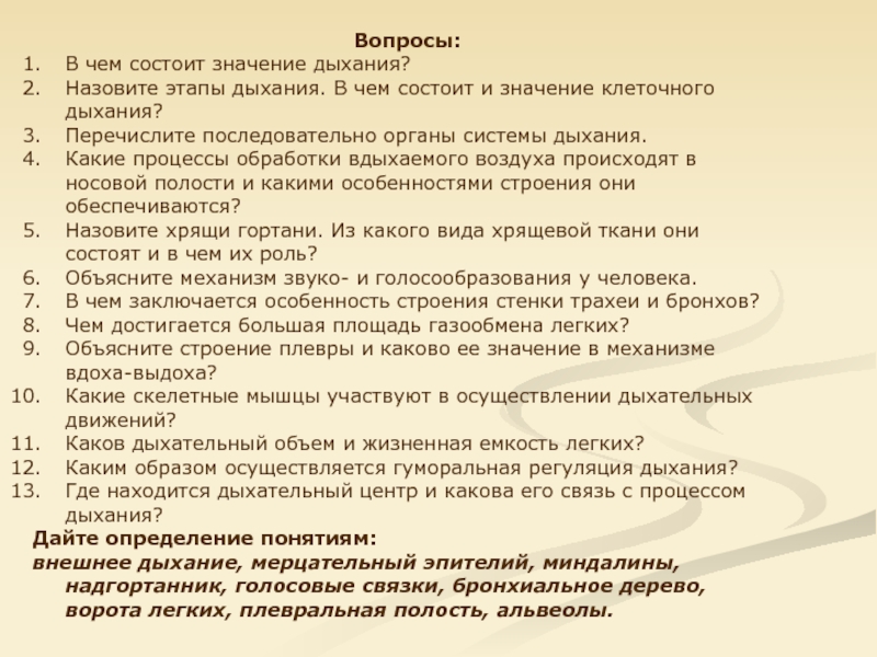 В чем состоит значение. В чем состоит значение дыхания. Анкета по дыхательной системе. Вопросы по дыхательной системе. Вопросы по значение дыхания.