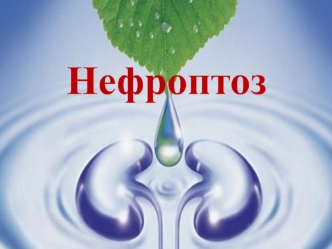 Нефроптоз - патологическая подвижность почки