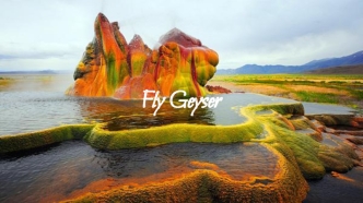 Fly Geyser