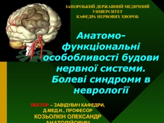 Анатомофункціональні особобливості будови нервної системи. Болеві синдроми в неврології