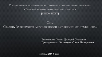 Сон. Стадии. Зависимость мозговолновой активности от стадии сна