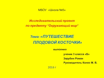 Путешествие плодовой косточки. (Окружающий мир. 3 класс)