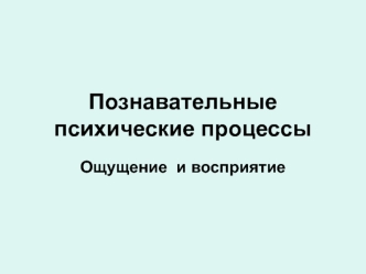 Познавательные психические процессы