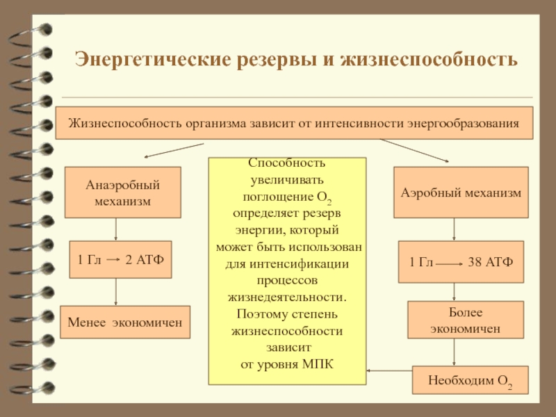 Резервы организма. Функциональные резервы организма. Функциональные резервы организма примеры. Изменение функциональных резервов организма. Виды функциональных резервов организма.