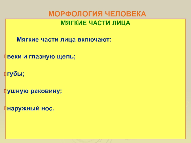 Мягкие части. Морфология человека. Тотальные Размеры тела. Морфология от греческого. К морфологическим показателям человека относится.