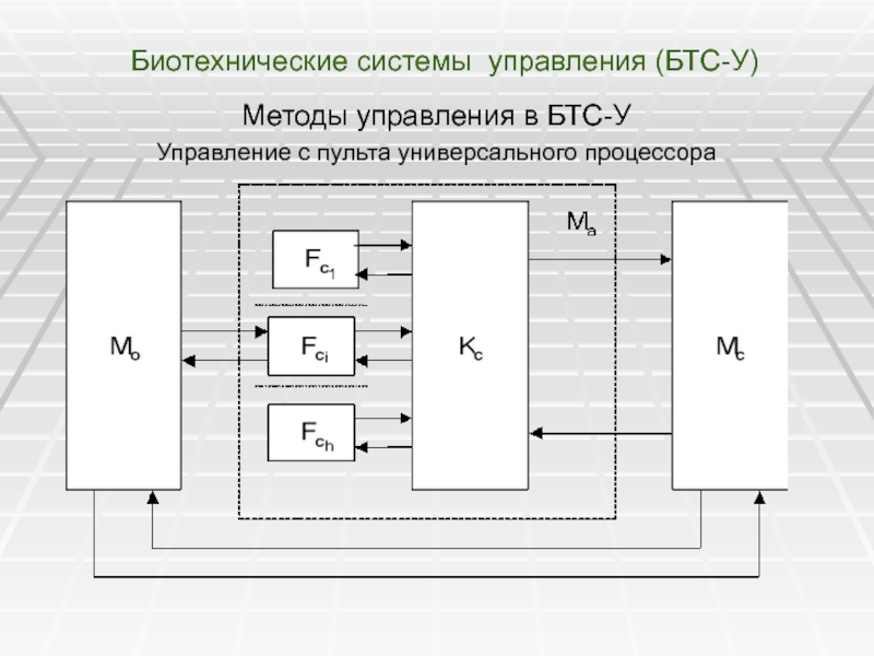 2 3 система управления. Структурная схема биотехнической системы. Обобщённая структурная схема биотехнической системы. Биотехнические системы управления. Биотехническая система (БТС).