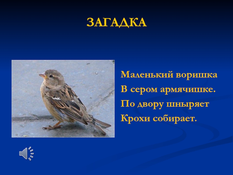 В сером армячишке по дворам шныряет. Маленький мальчик в сером армячишке по дворам шныряет крохи собирает. Армячишке. Птичка невеличка в сером армячишке.