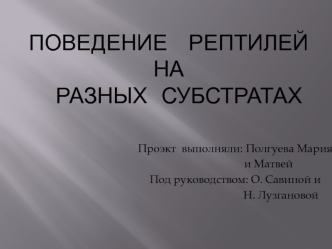 Поведение рептилей на разных субстратах