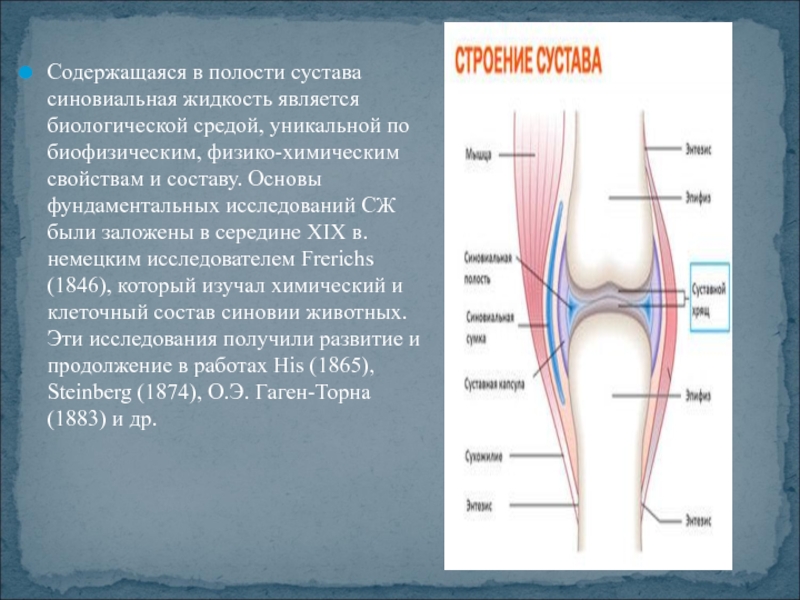 В каком колене какая жидкость. Жидкость в коленном суставе. Синовиальная жидкость в суставах. Синовиальная жидкость в полости коленного сустава. Норма жидкости в коленном суставе.