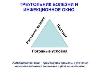 Треугольник болезни и инфекционное окно