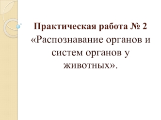 Распознавание органов и систем органов у животных