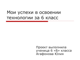 Проект. Мои успехи в освоении технологии за 6 класс