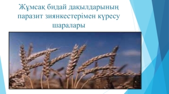 Жұмсақ бидай дақылдарының паразит зиянкестерімен күресу шаралары