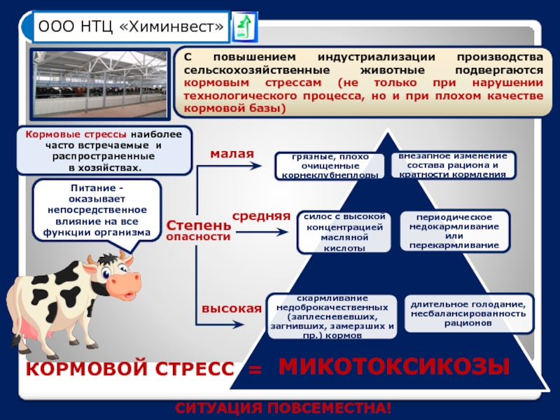 Увеличение кормовой базы