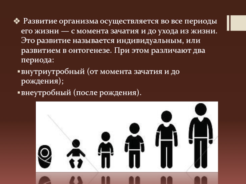 Рост и развитие это. Развитие организма. Развитие организма осуществляется. Индивидуальное развитие называется. Периоды развития организма человека.