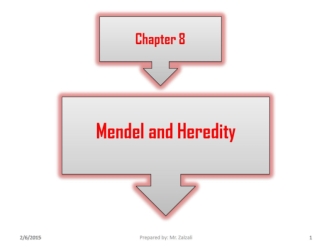 Mendel and Heredity