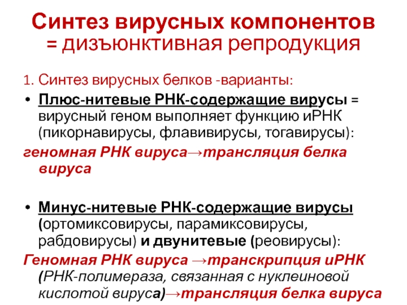 Синтез вирусного белка. Синтез вирусных белков. Дизъюнктивная репродукция вирусов это.