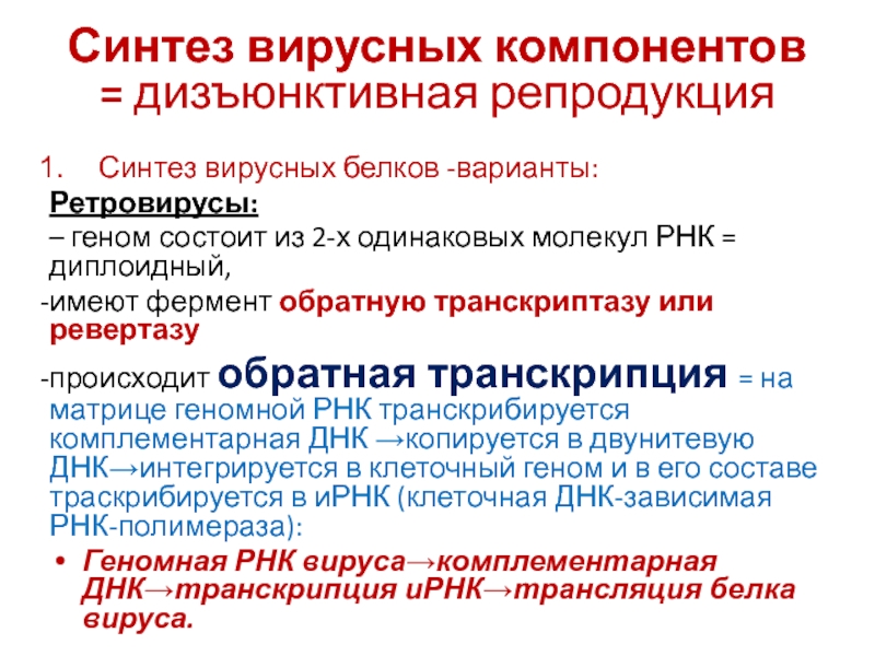 Синтез вирусного. Синтез вирусных ДНК осуществляется. Синтез вирусных белков. Синтез вирусных белков микробиология. Синтез вирусных белков схема.