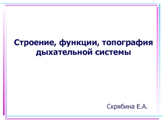 Строение, функции, топография дыхательной системы