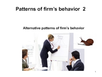 Alternative models of the firms behavior