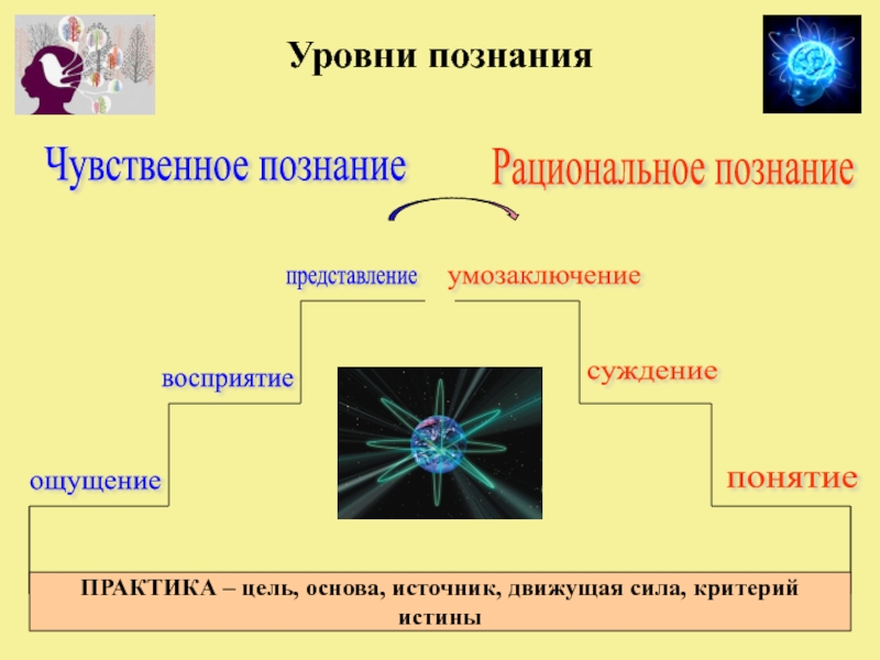 Суждение понятие ощущение. Представление познание. Умозаключение восприятие ощущение представление познание. Ощущение восприятие познание представление суждение. Рациональное познание суждение умозаключение.