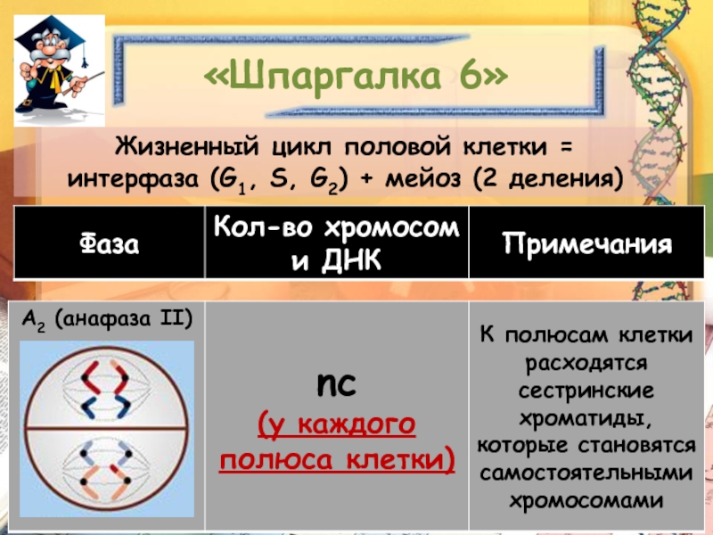 6 жизненных настроек