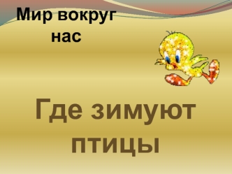 Где зимуют птицы