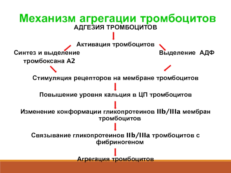 Схема агрегации тромбоцитов