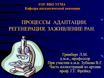 Процессы адаптации. Регенерация. Заживление ран