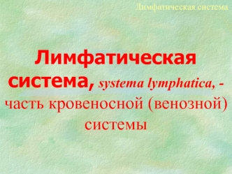 Лимфатическая система, systema lymphatica, - часть кровеносной (венозной) системы