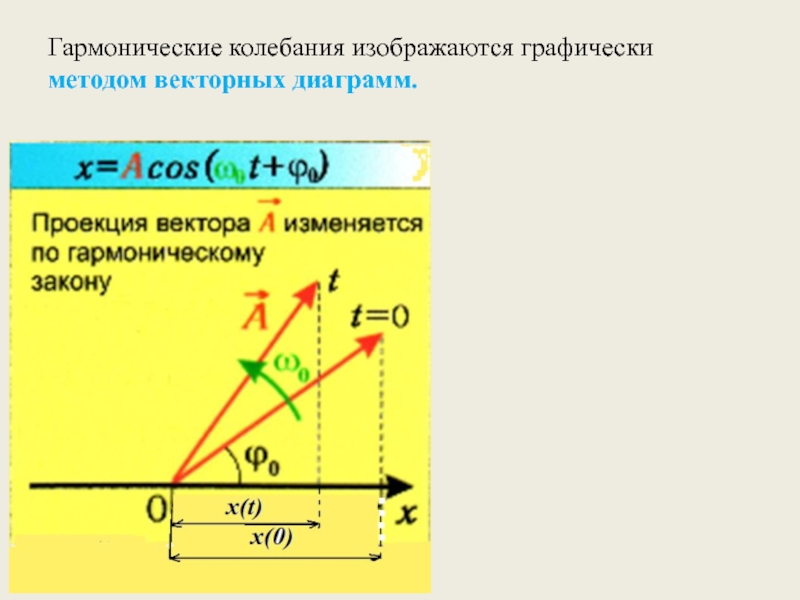 Скорость гармонических колебаний. Векторная диаграмма гармонических колебаний. Метод векторных диаграмм гармонических колебаний. Как графически изображаются гармонические колебания. Изображение гармонических колебаний с помощью векторных диаграмм.