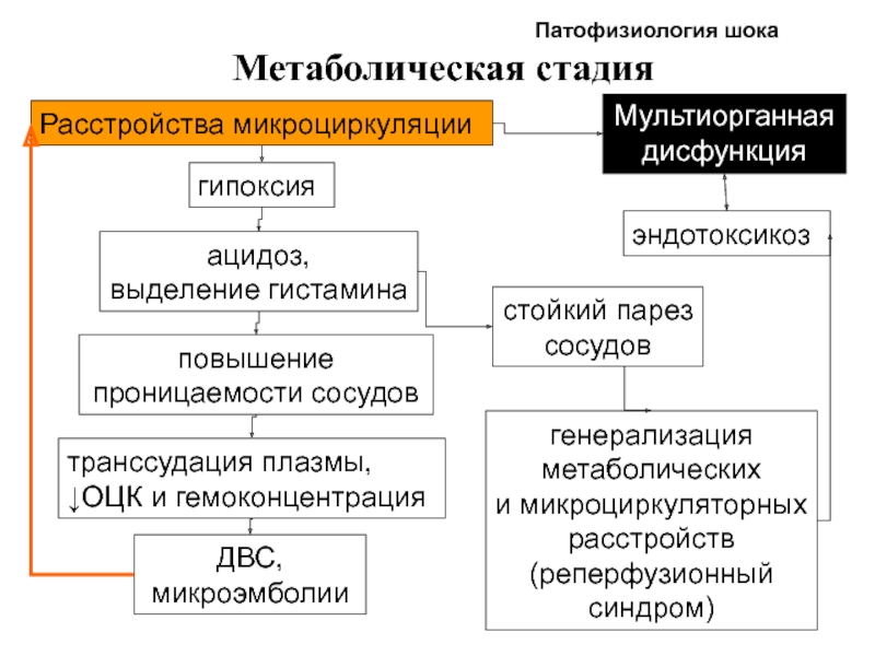 Гипоксии патофизиология презентация