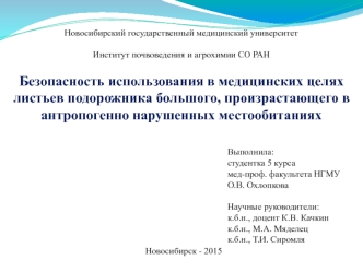 Безопасность использования в медицинских целях листьев подорожника, произрастающего в антропогенно нарушенных местообитаниях