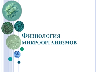 Физиология микроорганизмов