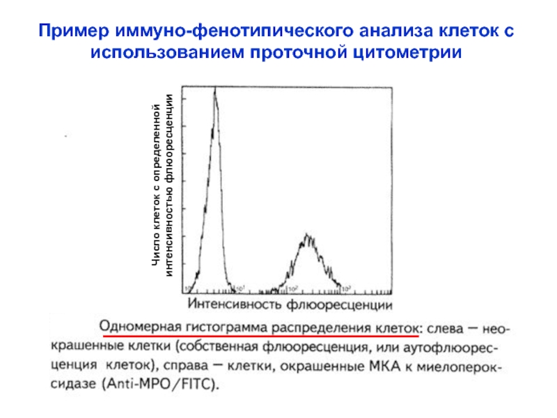 Реферат: Исследование клеточного цикла методом проточной цитометрии