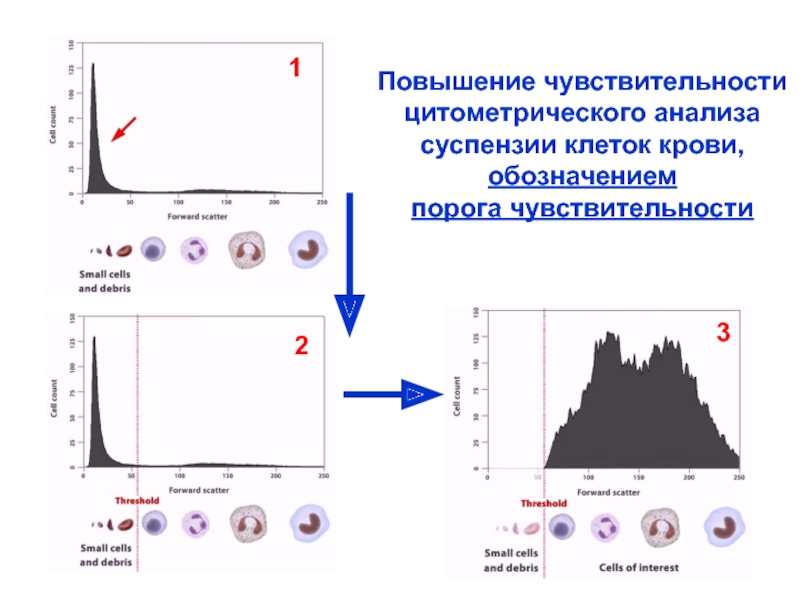 Реферат: Исследование клеточного цикла методом проточной цитометрии