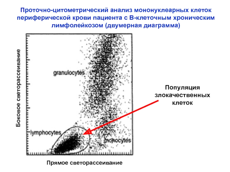 Реферат: Исследование клеточного цикла методом проточной цитометрии