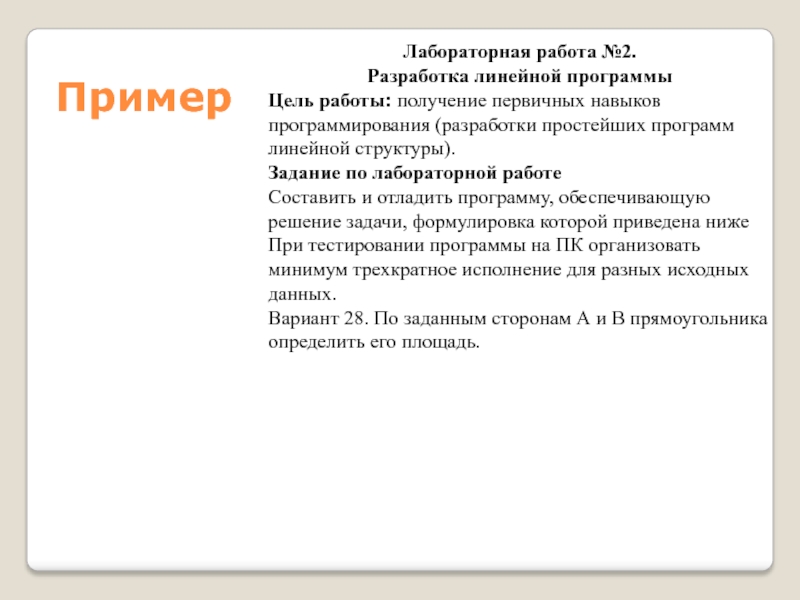 Получение первичных образов обеспечивают