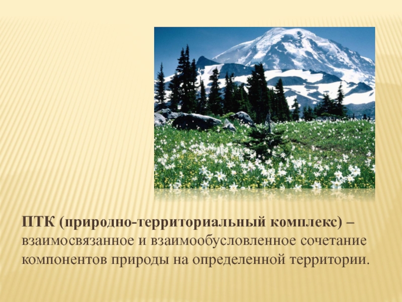 География 8 класс презентация природные комплексы