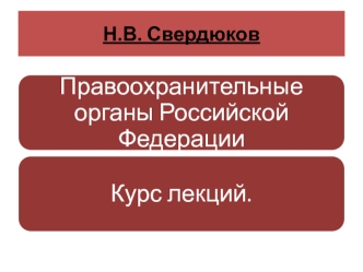 Правоохранительные органы Российской Федерации