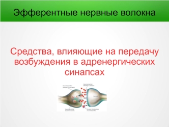 Эфферентные нервные волокна. Средства, влияющие на передачу возбуждения в адренергических синапсах